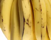 Banana da Terra 3