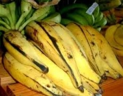 Banana-da-Terra 5