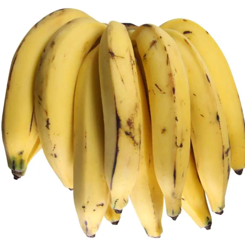 Banana da Terra 1