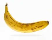 Banana da Terra 2