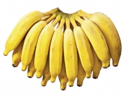 Banana da Terra 4