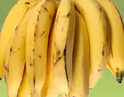Banana da Terra 4