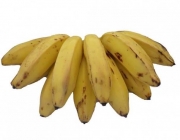 Banana da Terra 5