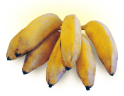 Banana Figo 2