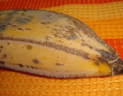 Banana Figo 4