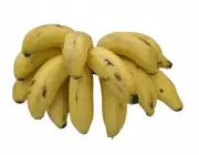 Banana-Maçã 4