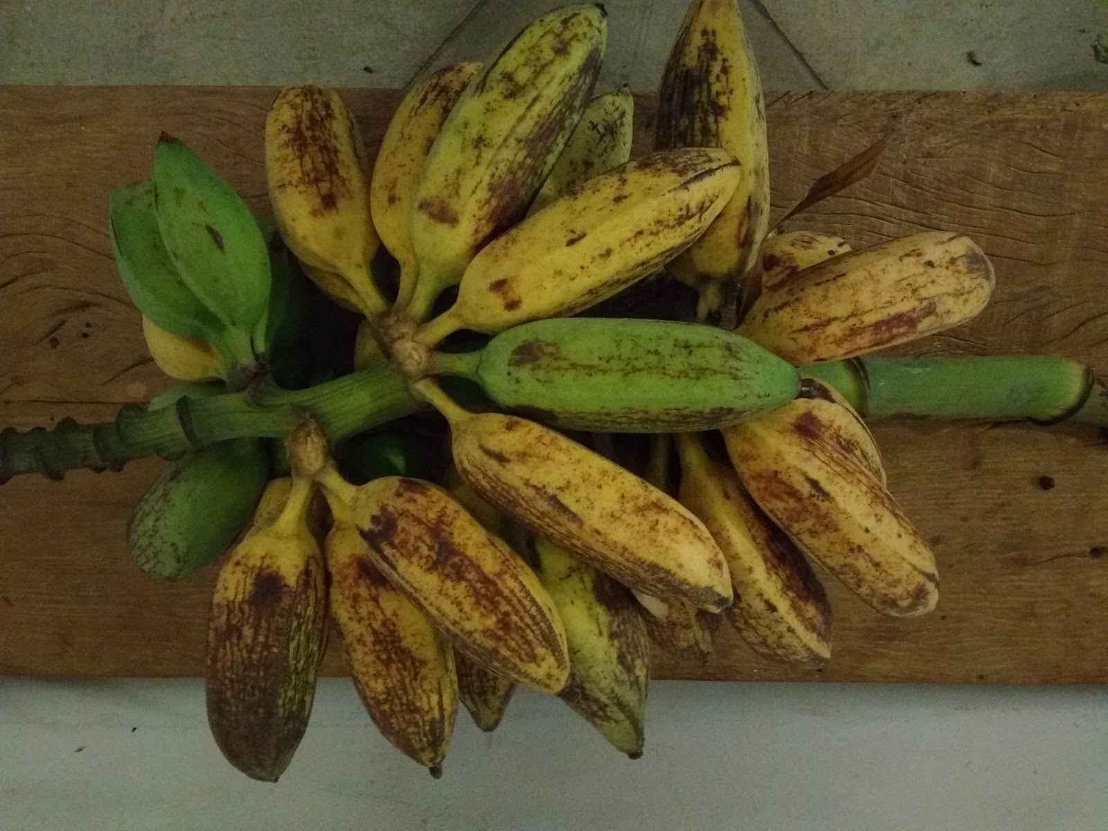 Banana Marmelo 3