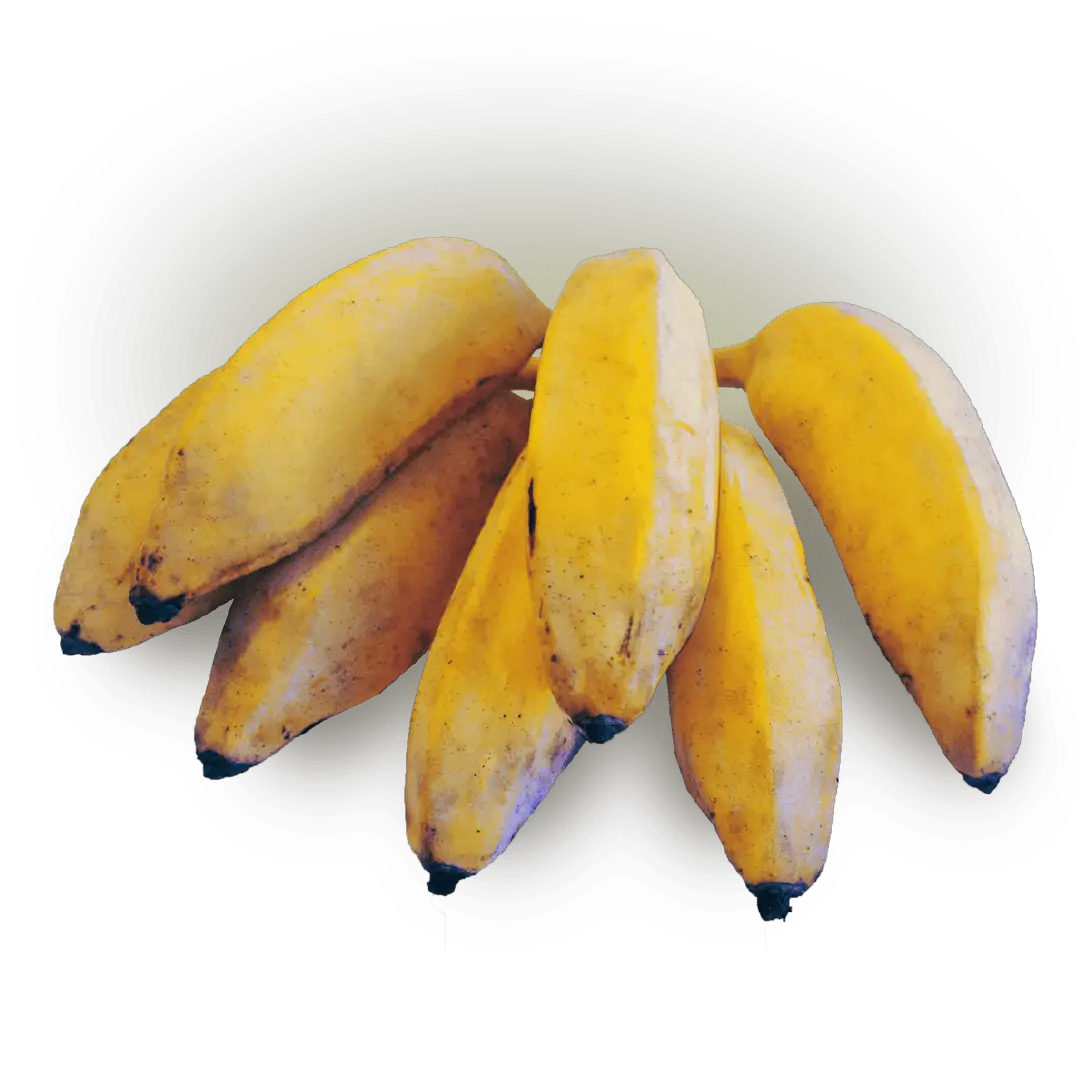 Banana Marmelo 5