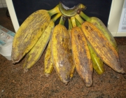 Banana Marmelo 1