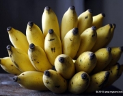 Banana Mysore 5