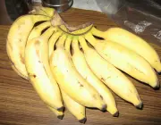 Banana Mysore 6