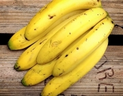 Banana Nanica 1