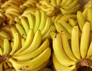 Banana Nanica 1