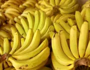 Banana-Nanica 1