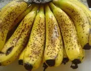Banana-Nanica 4
