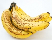 Banana-Nanica 5