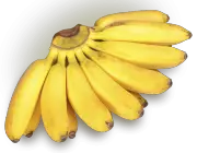 Banana Nanica 5