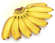 Banana Nanica 5