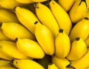 Banana Orgânica 2