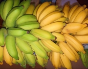 Banana Orgânica 6