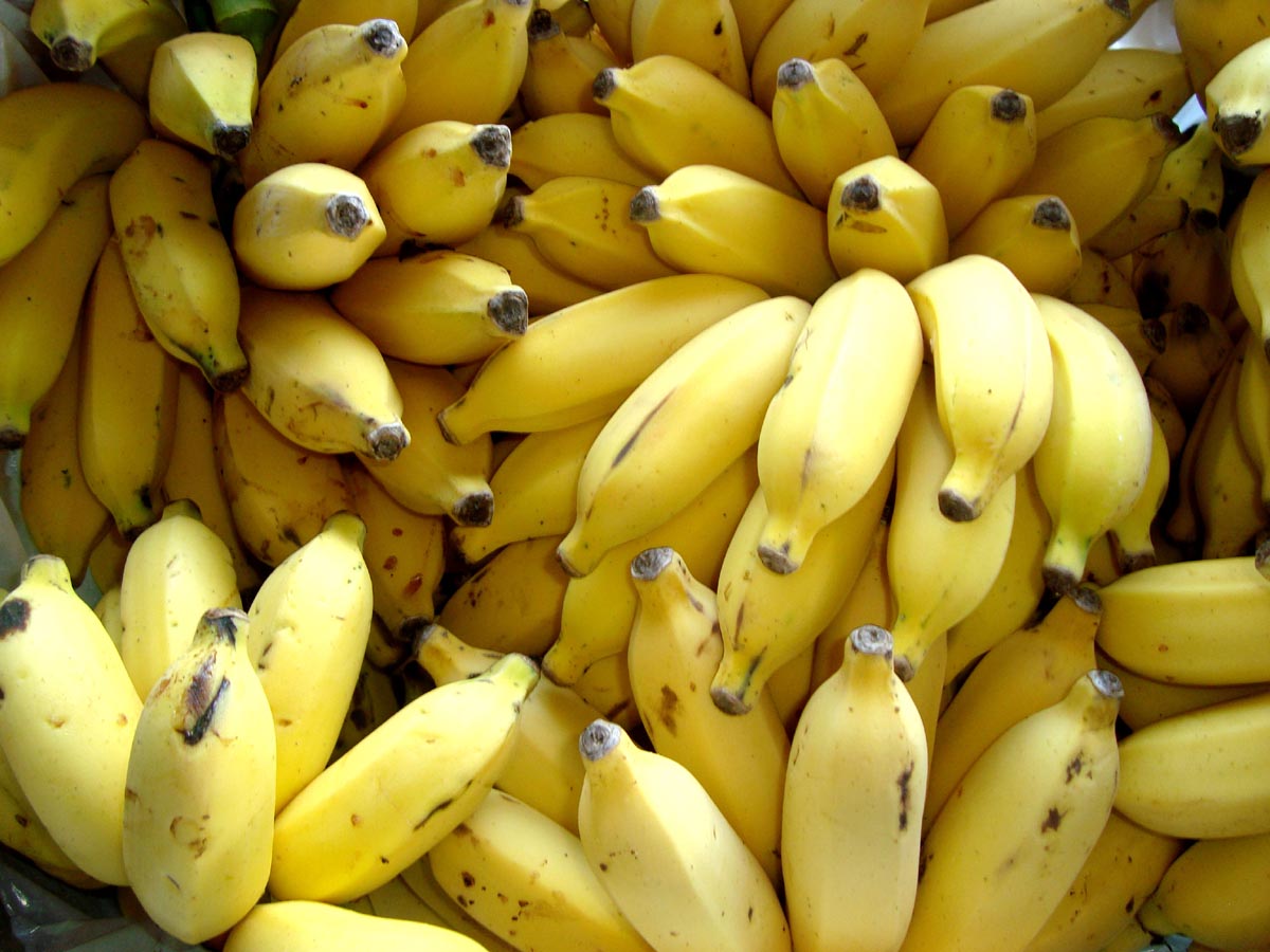 Benefícios Da Banana Orgânica | Mundo Ecologia