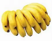 Banana Orgânica 5