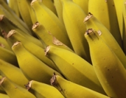 Banana Orgânica 4