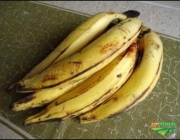Banana Pacovan 1