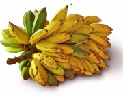 Banana Pacovan 3