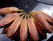 Banana Pão Crua 4