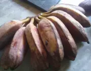 Banana Pão Crua 5