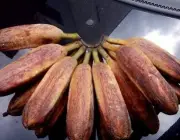 Banana Pão 3