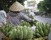 Banana no Vietnã