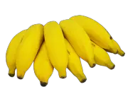 Banana Prata 1
