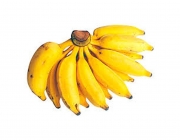 Banana Prata 3