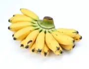 Banana Prata 6