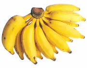 Banana Prata 1