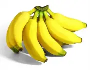 Banana-Prata 3