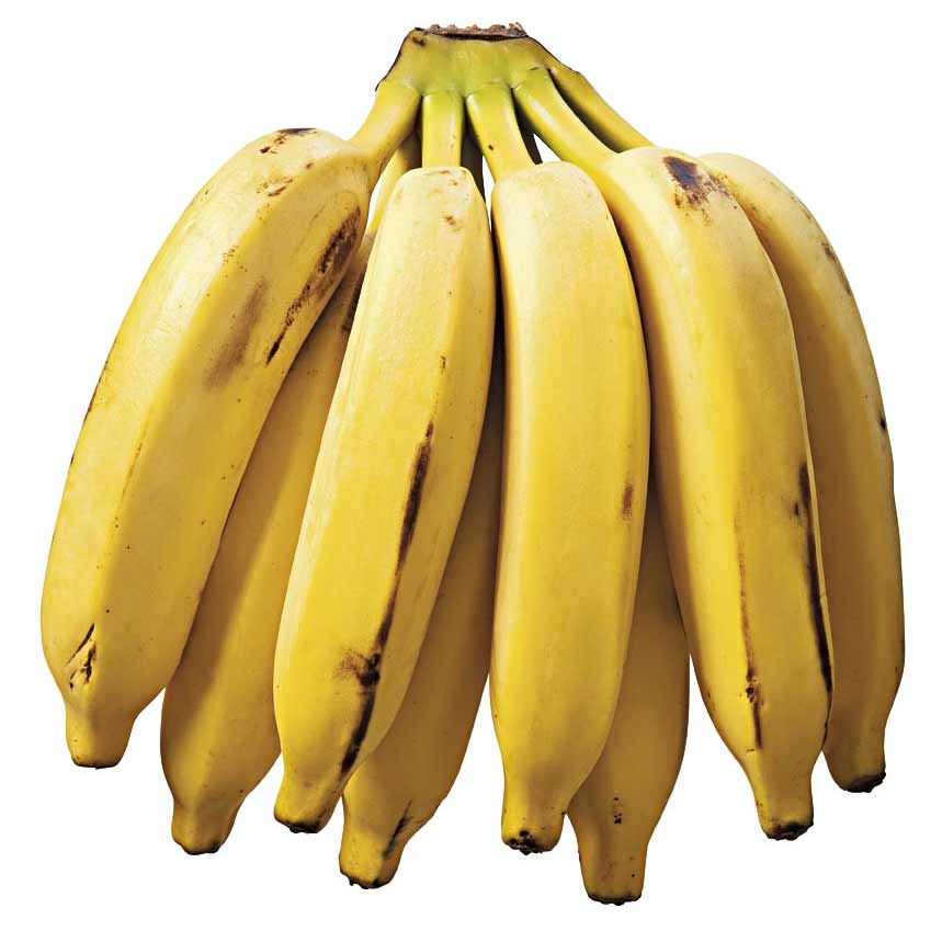 Banana Prata 4