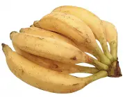 Banana Terra 1