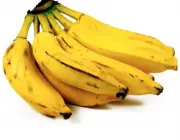 Banana Terra 3