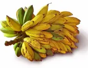 Banana Terra 5