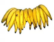 Banana Terra 6