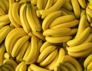 Bananas 3