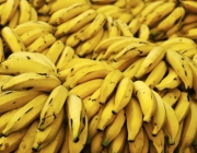 Bananas 4