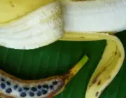 Bananas Com Sementes 6