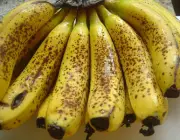 Bananas Maduras 4