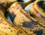 Bananas Maduras 6
