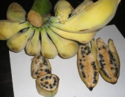 Bananas Orgânicas Com Sementes 4