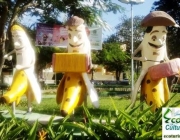 Bananeiras 5